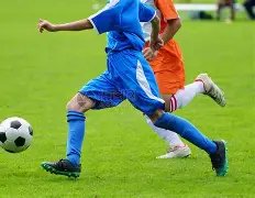 樊振东中路,战术揭秘,深度解析勒,世界杯下注,2026世界杯,投注技巧,赔率分析,赛事预测