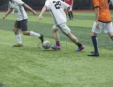 全国赛艇冠,军赛成都站,完美落幕,世界杯下注,2026世界杯,投注技巧,赔率分析,赛事预测